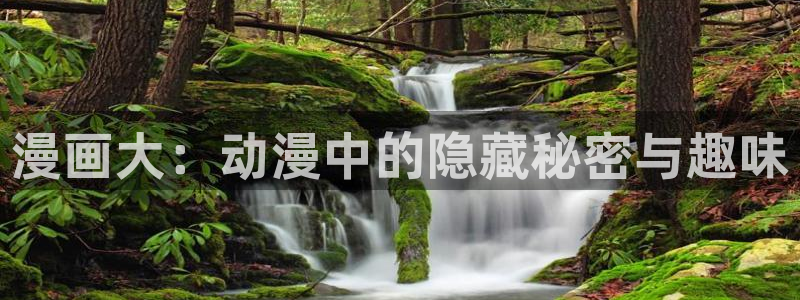 虫虫漫画网页版在线观看