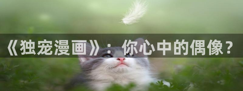 虫虫漫画羞羞漫画