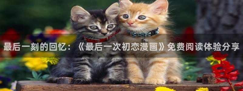 虫虫漫画羞羞漫画