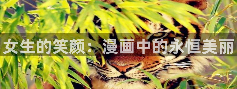 虫虫漫画免费观看页面：女生的笑颜：漫画中的永恒美丽