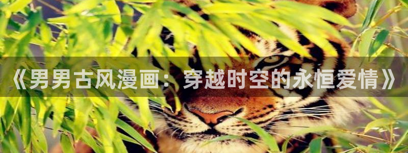 虫虫漫画网站在线看：《男男古风漫画：穿越时空的永恒爱情》