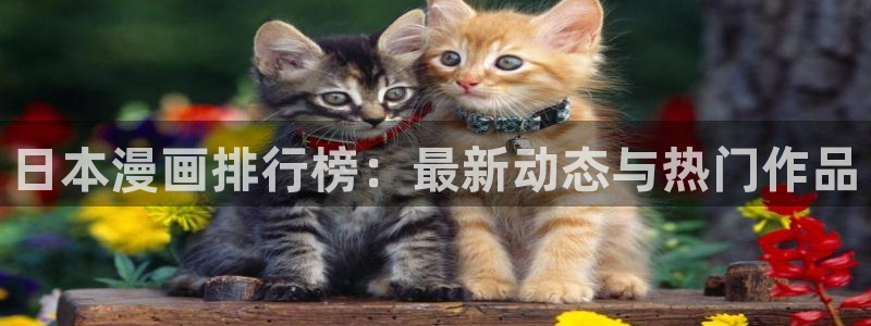 虫虫漫画怎么免费看漫画：日本漫画排行榜：最新动态与热门作品