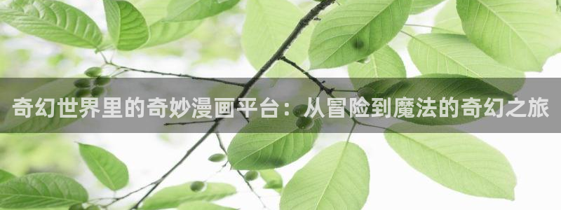 虫虫漫画排行