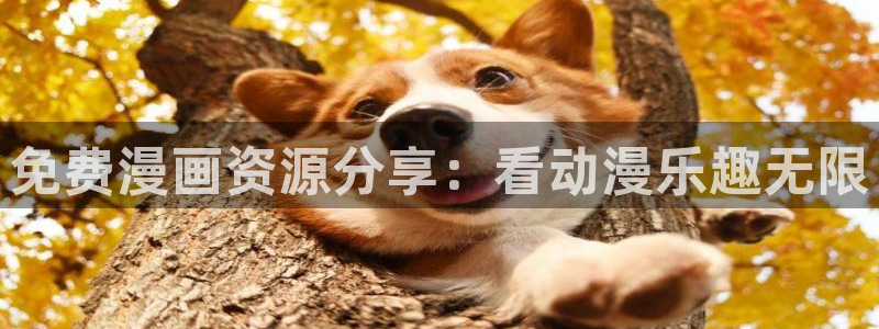 虫虫漫画免费漫画页面在线看漫画入口