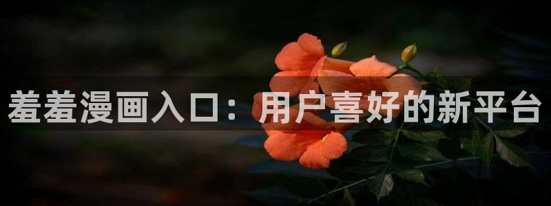 虫虫漫画进入