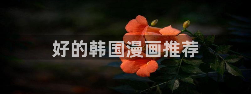 虫虫漫画的广告2024