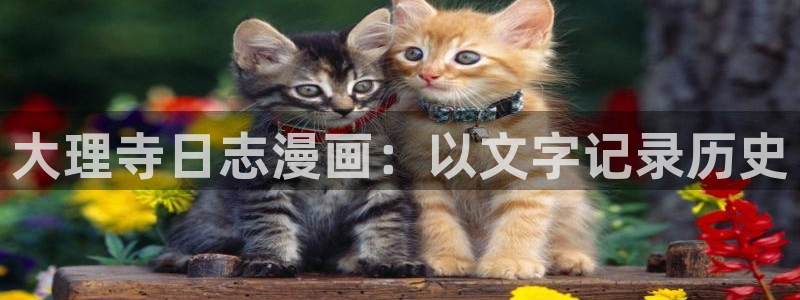 虫虫漫画免费漫画入口页面下拉式