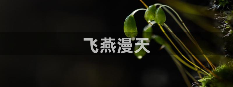 虫虫漫画免费观看入口：飞燕漫天