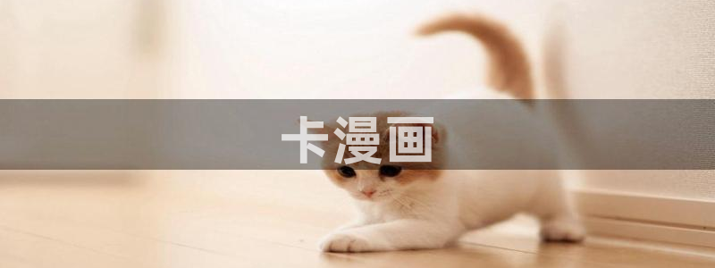 虫虫漫画免费无限阅读