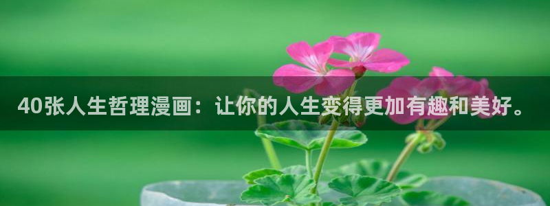 虫虫漫画旧版免费入口