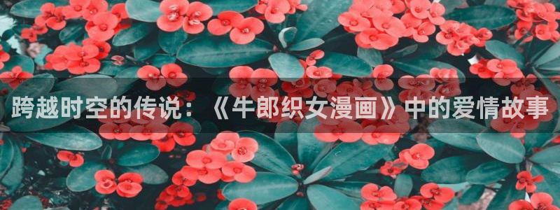 虫虫漫画进入