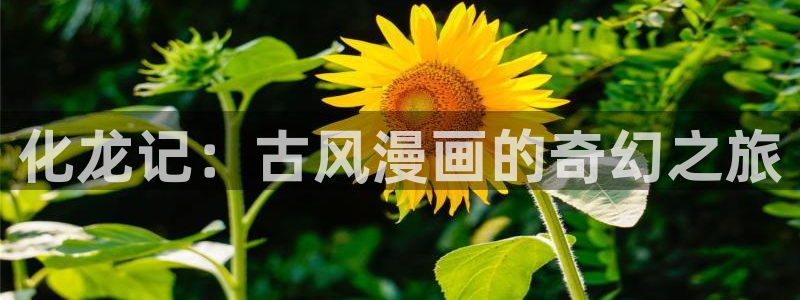 虫虫说漫