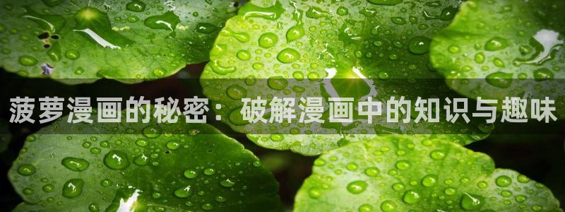 虫虫漫画网官网