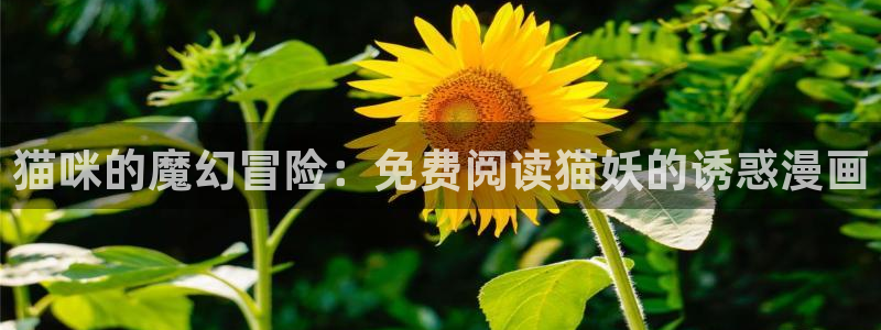 大话降龙虫虫漫画