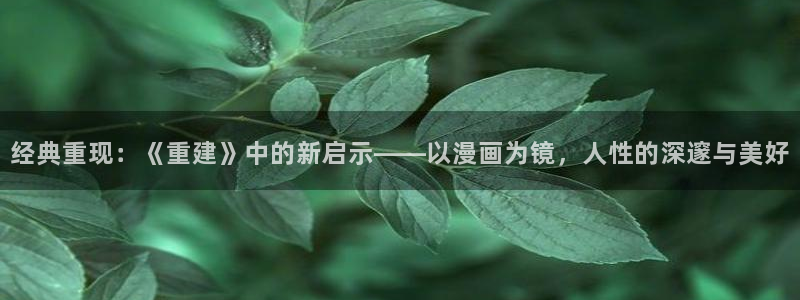 旧版虫虫漫画