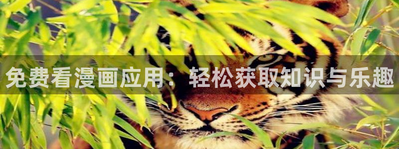 虫虫漫画在线阅读页面免费观看网站