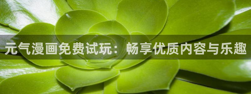 虫虫漫画免费漫画完结篇：元气漫画免费试玩：畅享优质内容与乐趣