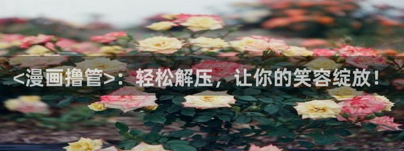 虫虫漫画观看页面漫画入口在哪：<漫画撸管>：轻松解压，让你的笑容绽放！