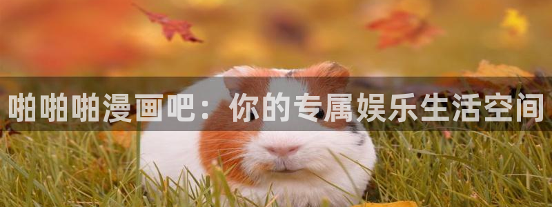 虫虫闹翻天动画片全集：啪啪啪漫画吧：你的专属娱乐生活空间